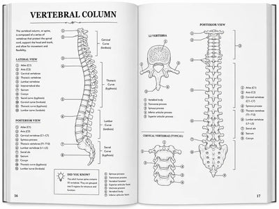 Human Anatomy Colour Book