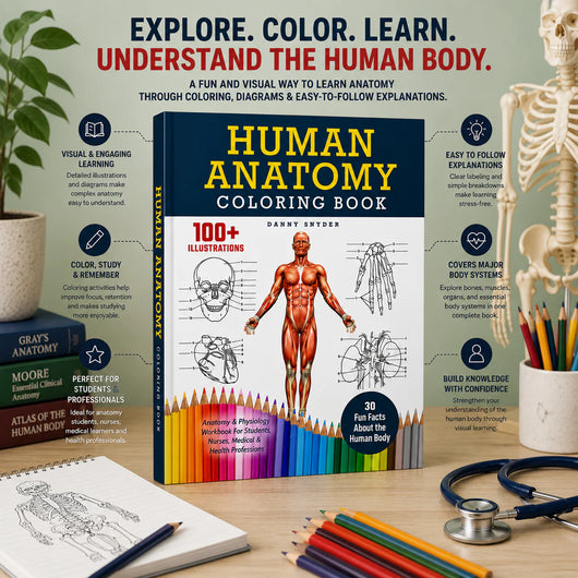 Human Anatomy Colour Book